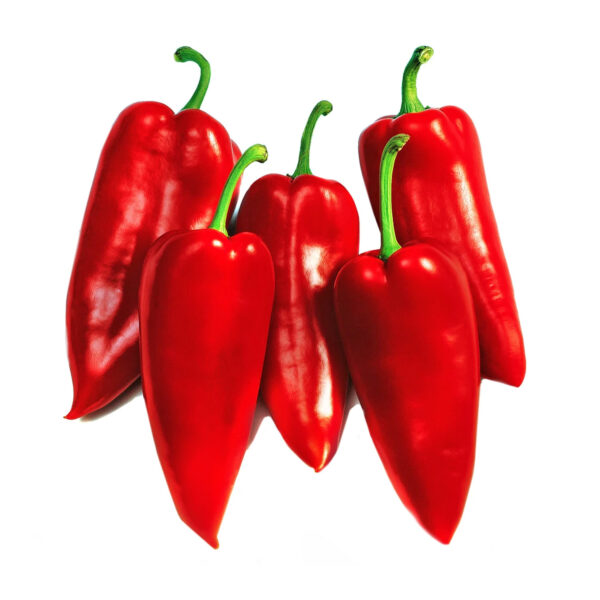 Paprika Roga